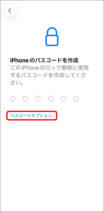 キーボードまたは「パスコードオプション」をタップしてパスコードを設定