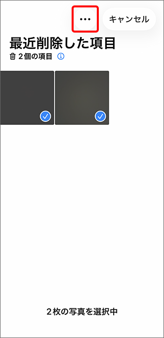 元に戻す写真にチェックを入れ、（詳細ボタン）をタップ