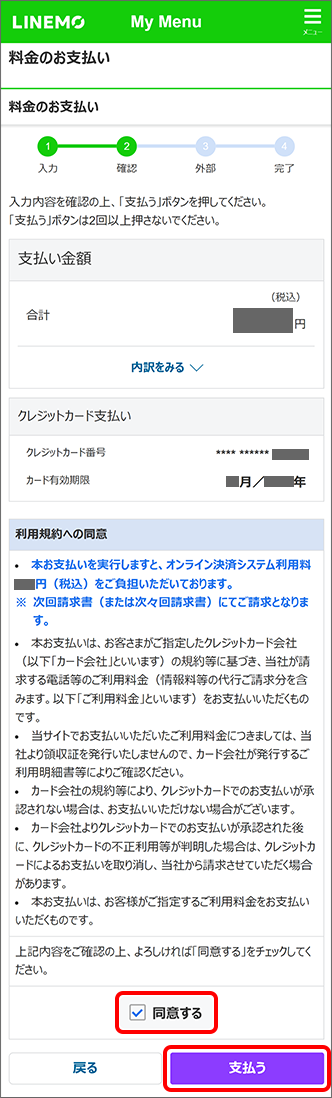 内容と利用規約を確認し、「同意する」にチェックを入れ、「支払う」をタップ