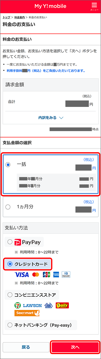 「支払金額」を選択し、「クレジットカード」を選択し「次へ」をタップ