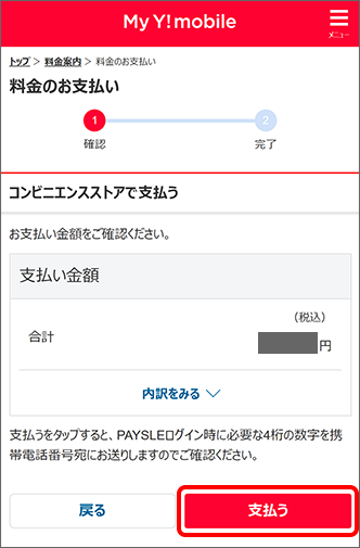 支払内容を確認の上、「支払う」をタップ